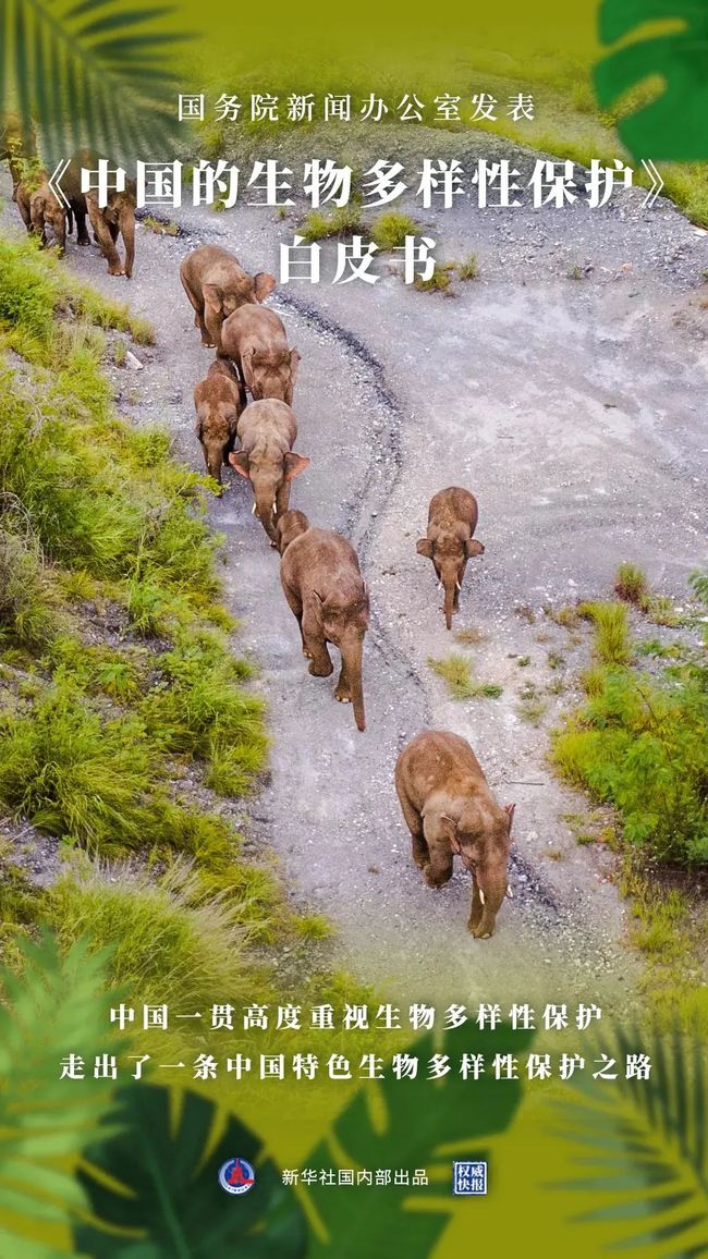 1634607376307251.jpg 2.jpg