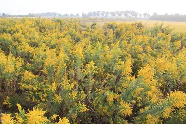 1639641722106900.jpg 1.jpg